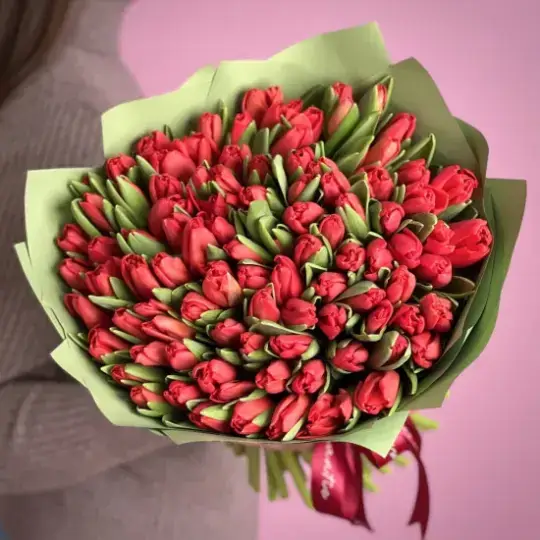 101 красный тюльпан