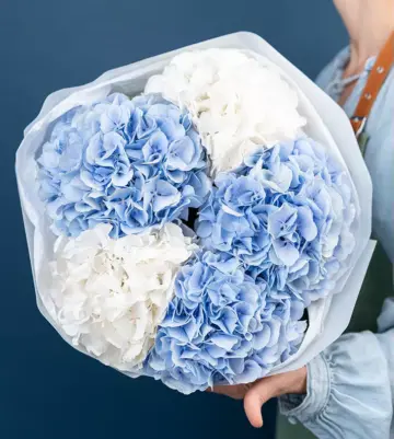 Bouquet of 5 royal hydrangeas