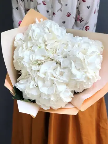 Bouquet of 3 white hydrangeas