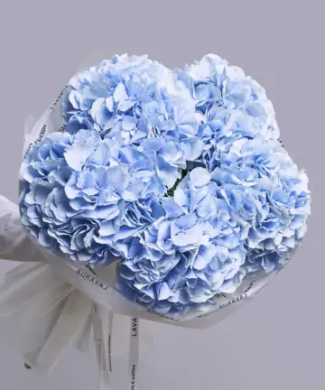 Bouquet of 5 blue hydrangeas