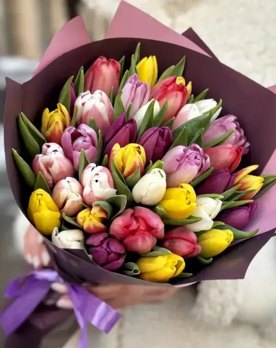 35 тюльпанов микс