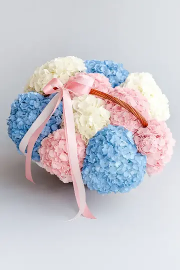 Composition with gorgeous hydrangeas.