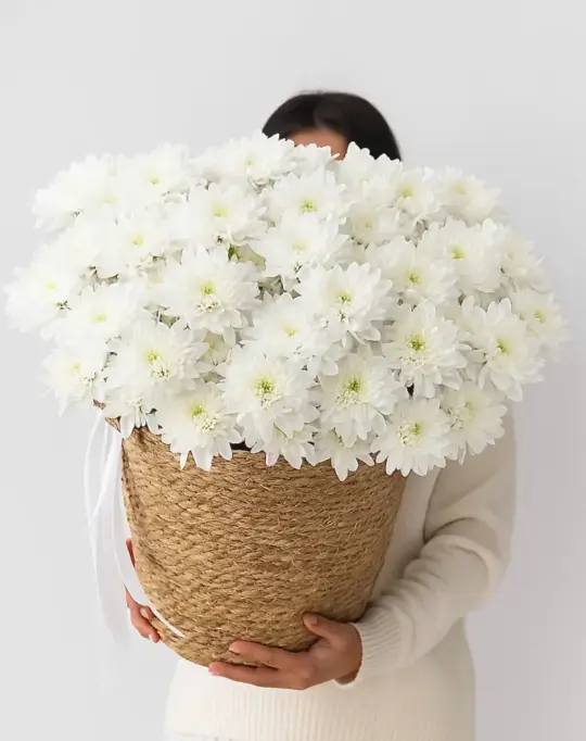 Композиция Белые ночи