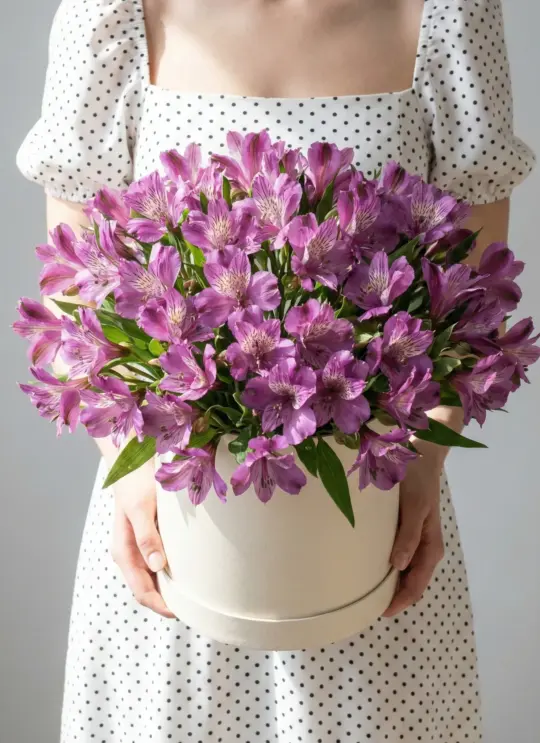 Сиреневые альстромерии