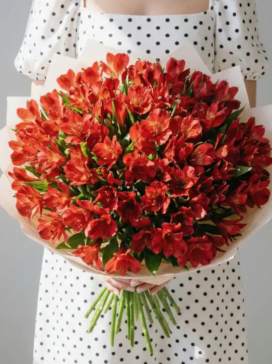 Красные альстромерии