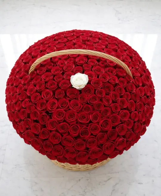 1001 роза в корзине