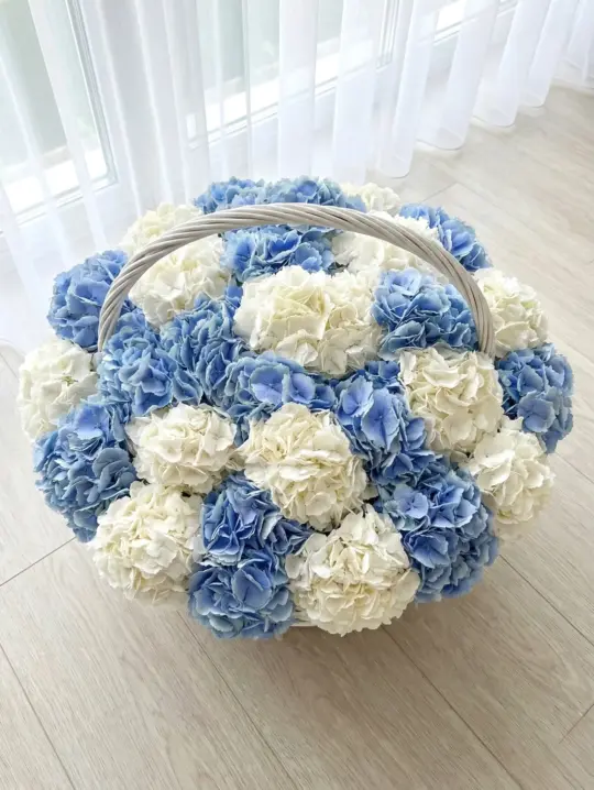 Bluemarine композициясы