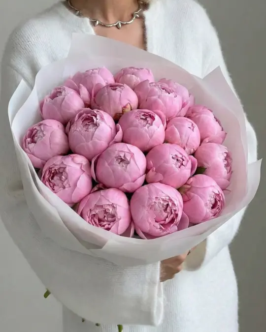 Букет из 19 пионов