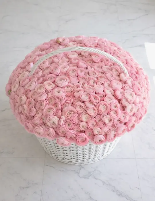 1001 ранункулюс в корзине