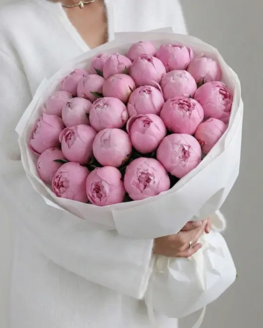 Bouquet of 25 peonies