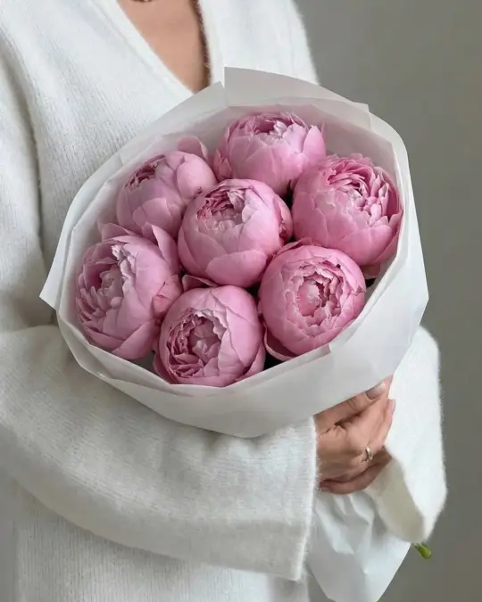 Букет из 7 розовых пионов