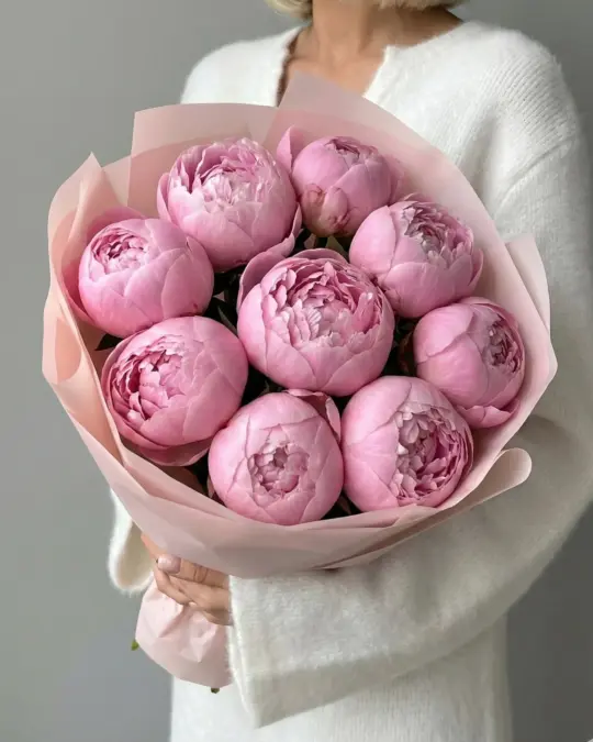 Букет пионов Сара Бернард