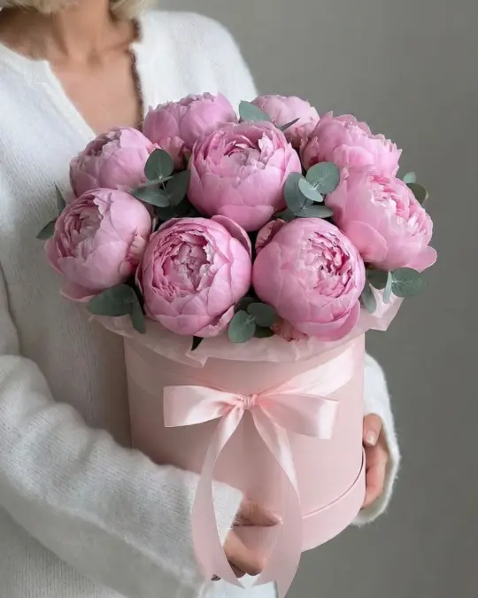 Композиция Вена