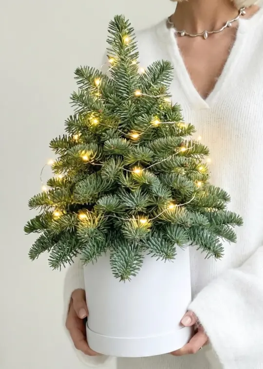 New Year's composition Magic