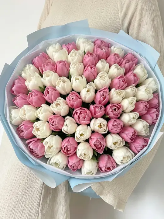 Букет из 101 бело-розового тюльпана