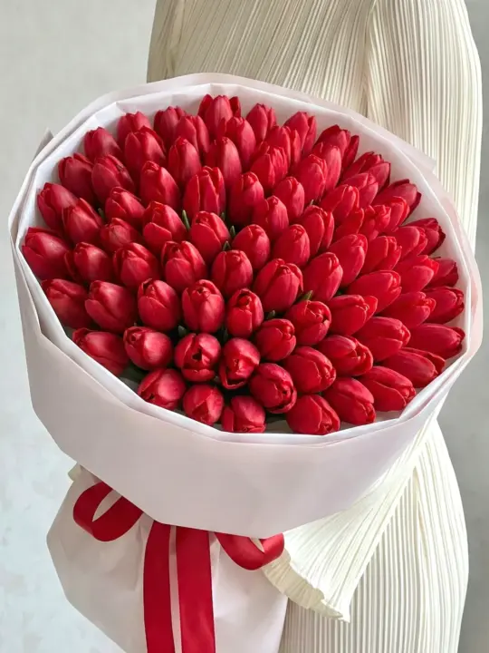 101 красный тюльпан