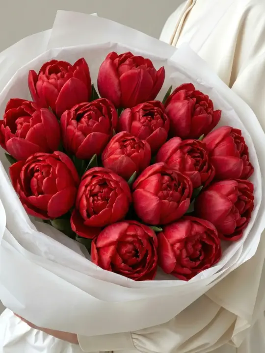 15 красных пионовидных тюльпанов