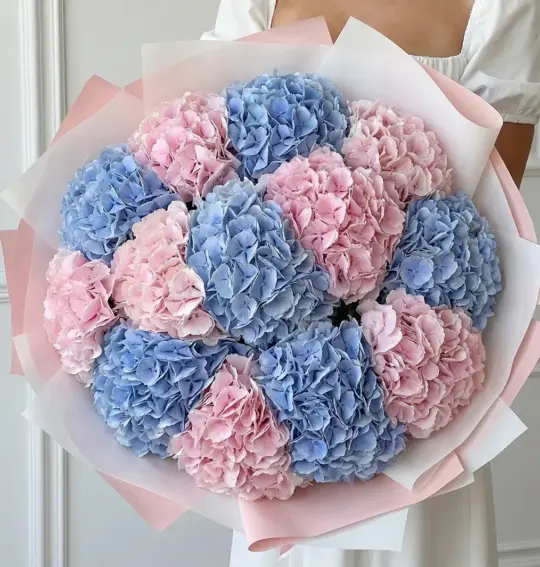 Букет из 15 гортензий