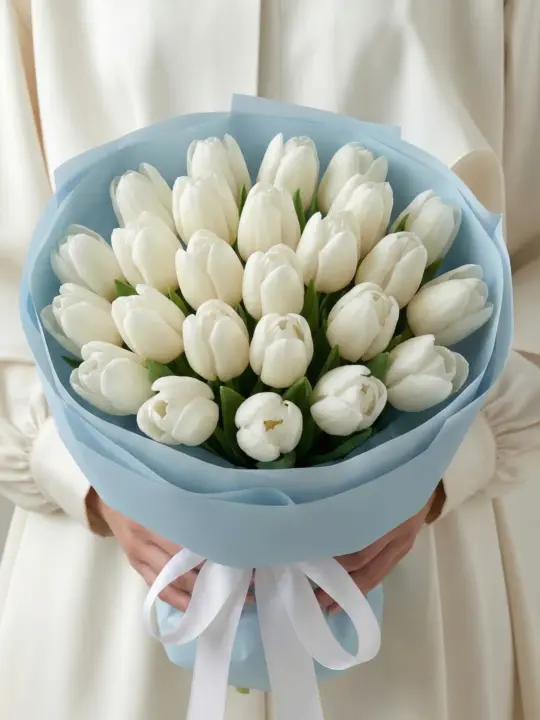 25 белых тюльпанов