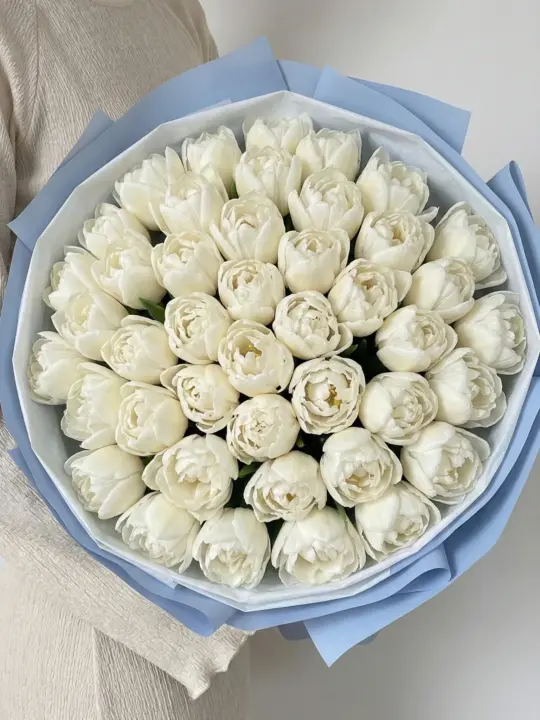 Букет из 45 тюльпанов