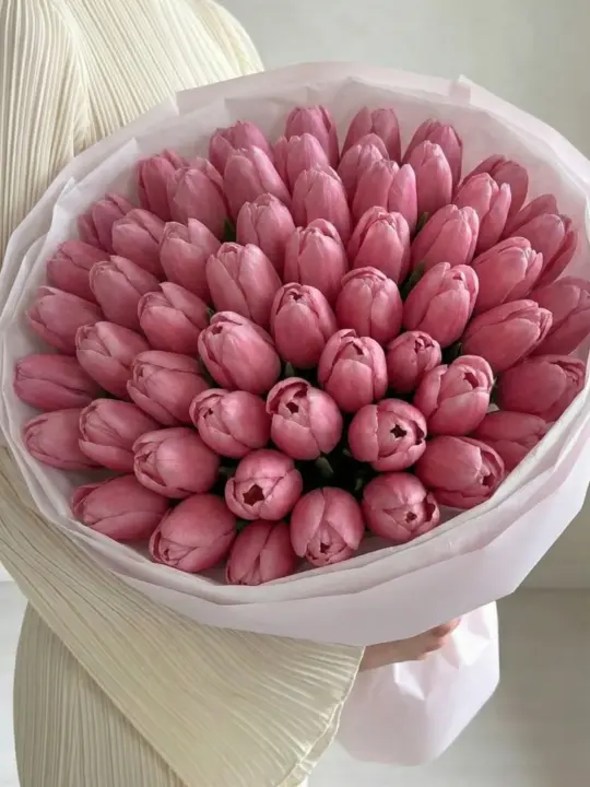 51 розовый тюльпан