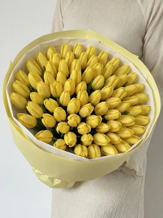 51 желтый тюльпан