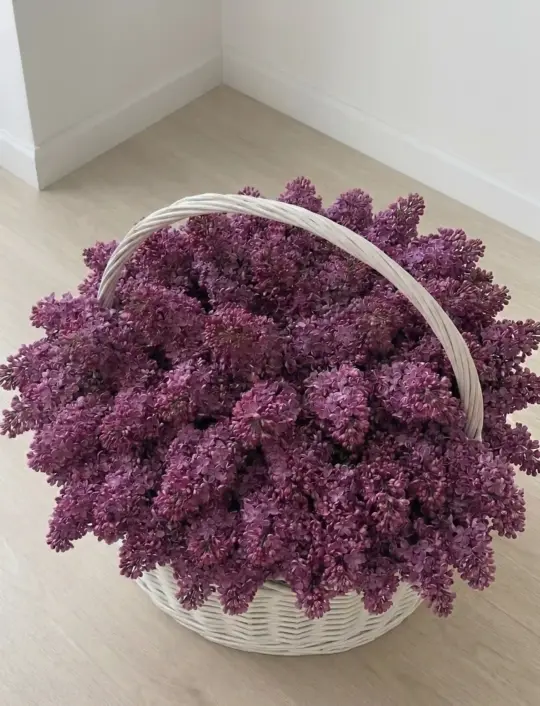 Композиция из сирени в корзине