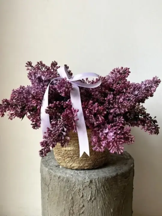 Композиция Путь Серенады