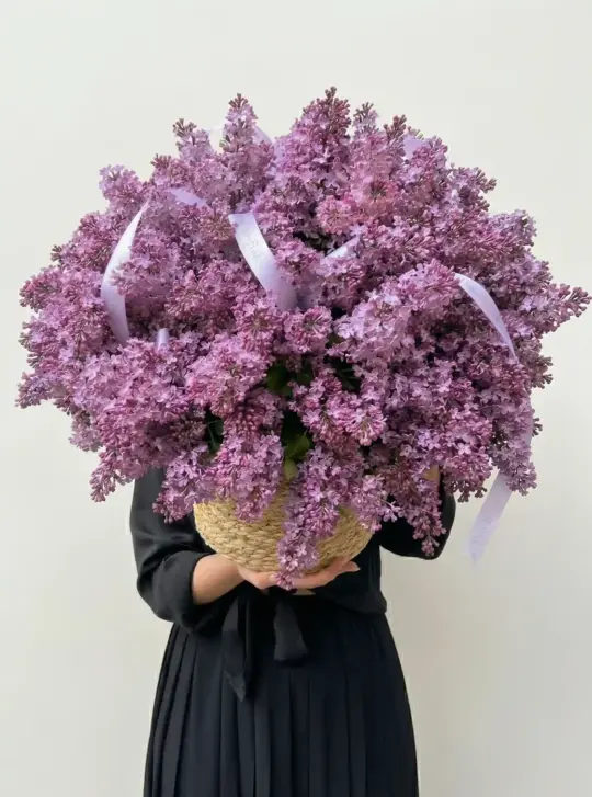 Композиция из сирени в кашпо