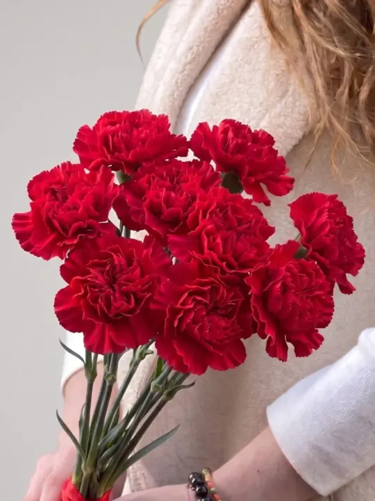 A bouquet of red carnations